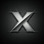 Twitter X Media Downloader
