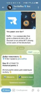 Ton Raffles 💎 Bot 1