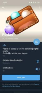 Pocket 4