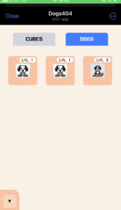 Dogs404 2