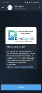 DimCapital 4
