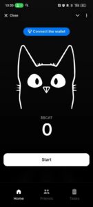 BLACKCAT 1