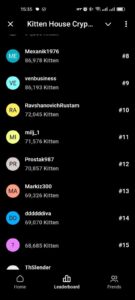Kitten House Crypto 2