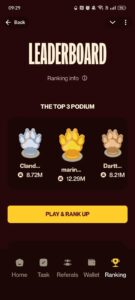 Meerkat Miniapp 4