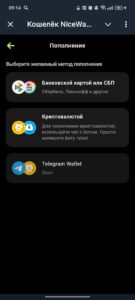 Кошелёк NiceWallet — @nwallet 4