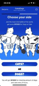 Cats&Dogs 6