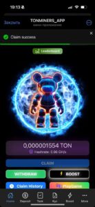 SEI BEAR APP 1