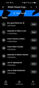 Kitten House Crypto 5