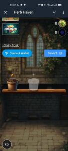 Herb Haven 3