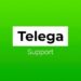 Telega.io — Technical Support