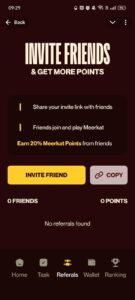 Meerkat Miniapp 3