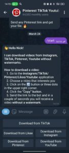 Pinterest TikTok Youtube downloader 3
