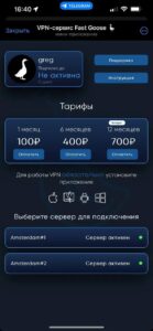 VPN Fast Goose 🪿 1