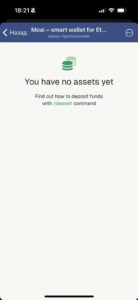 Moai Smart Wallet 4