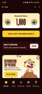 Meerkat Miniapp 1