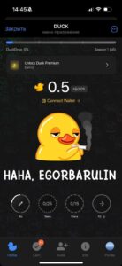 DUCK 2