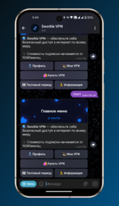 Sworkle VPN 1