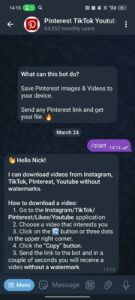 Pinterest TikTok Youtube downloader 1