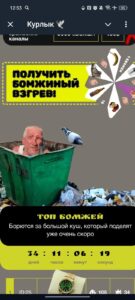Курлык 🕊️ 4