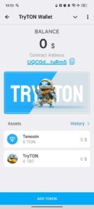 TryTON Wallet 2