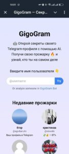GigoGram — Roast your profile 4