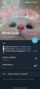 Котя Cards 4