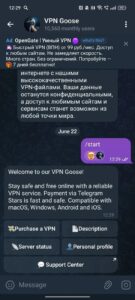 VPN Goose 4