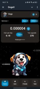 DogeX 1