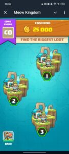 Meow Kingdom 5