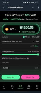 Bitverse Dollar 3