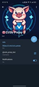 🐽SVIN-Proxy🛡️ 4
