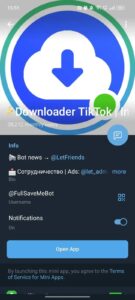 ⚡️Downloader TikTok | Instagram | YouTube 4