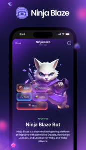 Ninja Blaze 1