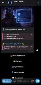 Haru VPN 1