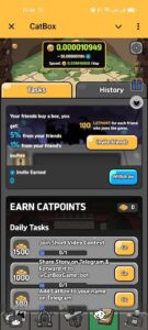 CatBox V2 2