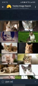 Yandex Image Search 3