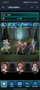 Labyraiders 1