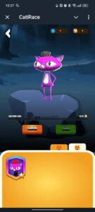 CatiRace 6