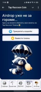 Tap Raccoon Coin 5