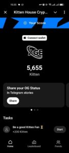 Kitten House Crypto 3