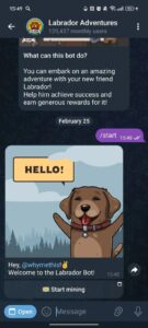 Labrador Adventures 1
