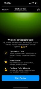 Capibara Coin 1