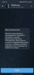 VPN Goose 3