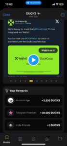 DUCKS 🦆 5