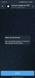 Скачать видео из TikToka Toka 2