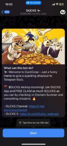 DUCKS 🦆 1