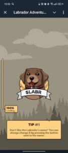 Labrador Adventures 4