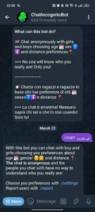 ChatIncognitoBot 1