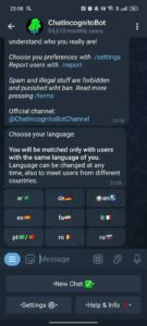 ChatIncognitoBot 3