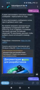SaluteSpeech Bot 1